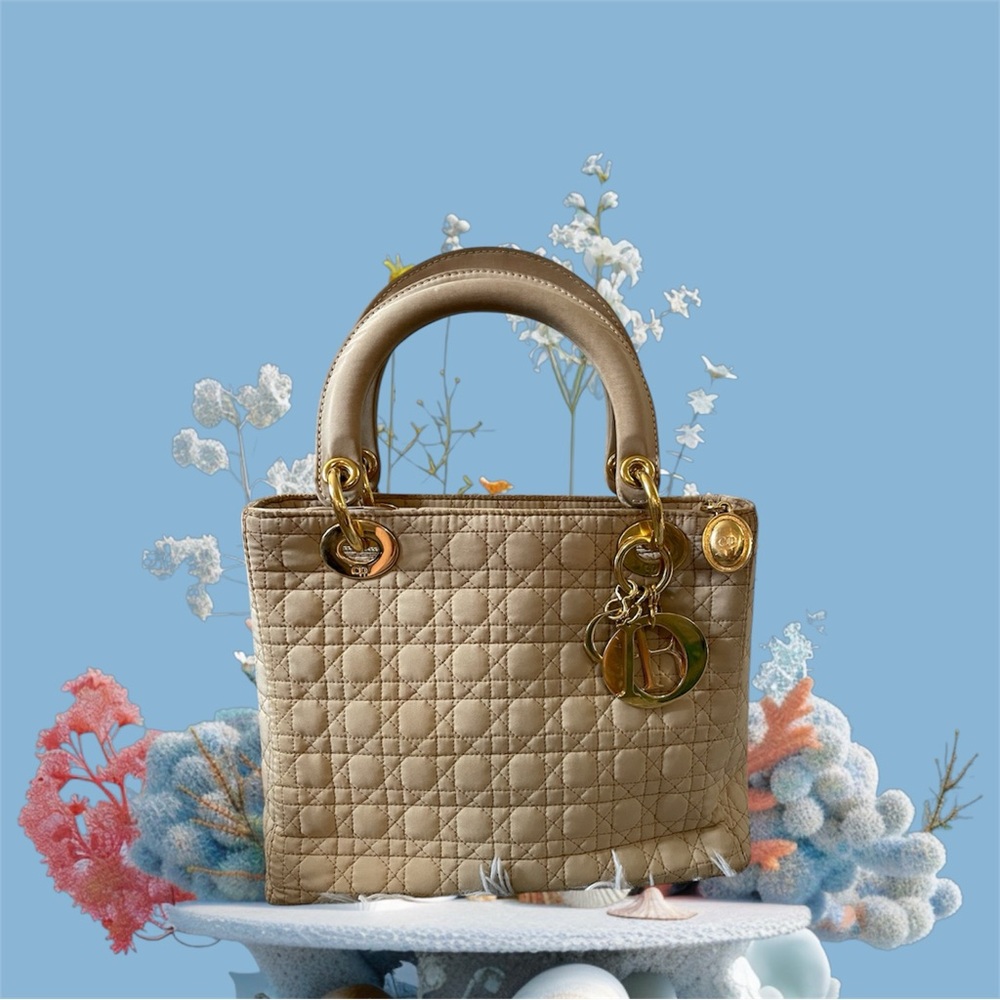 Christian Dior Hand Bag  Beige Nylon
Tan Satchel with Iconic used fair condition